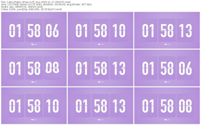 cams-ff_mur-11-17-2025-05-47-07