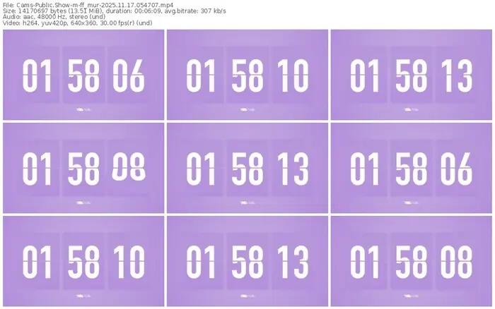 cams-ff_mur-11-17-2025-05-47-07