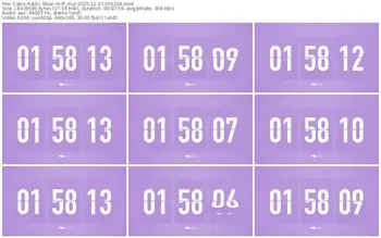 cams-ff_mur-11-17-2025-05-53-18