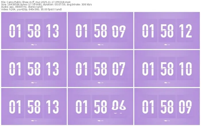 cams-ff_mur-11-17-2025-05-53-18