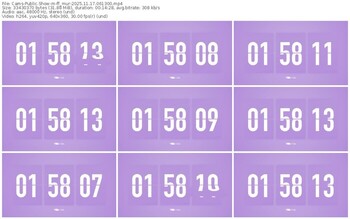 cams-ff_mur-11-17-2025-06-13-00