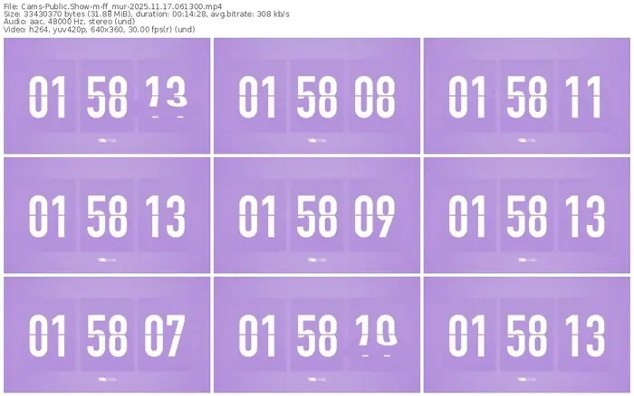 cams-ff_mur-11-17-2025-06-13-00