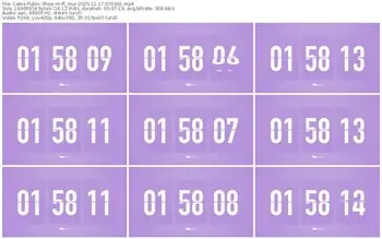 cams-ff_mur-11-17-2025-07-03-01