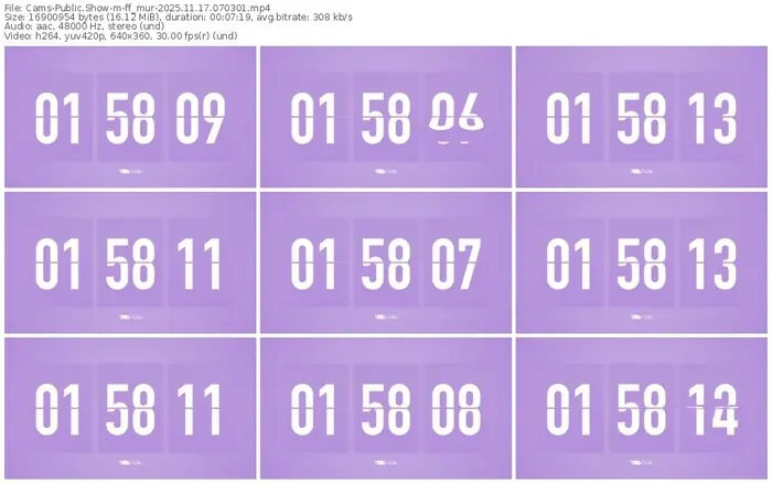 cams-ff_mur-11-17-2025-07-03-01