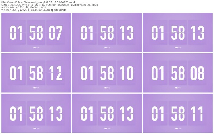 cams-ff_mur-11-17-2025-07-47-23