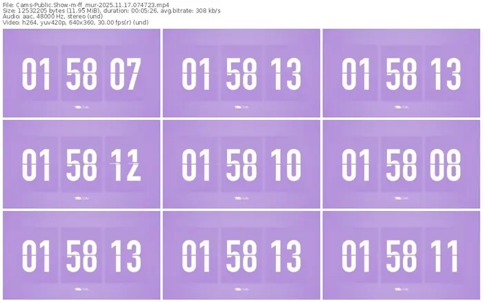 cams-ff_mur-11-17-2025-07-47-23