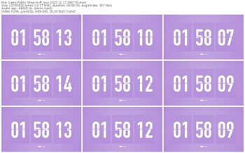 cams-ff_mur-11-17-2025-08-07-35