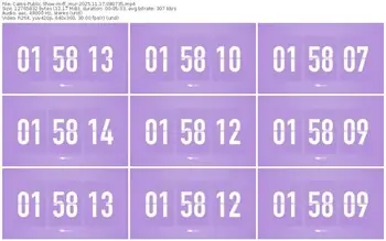 cams-ff_mur-11-17-2025-08-07-35