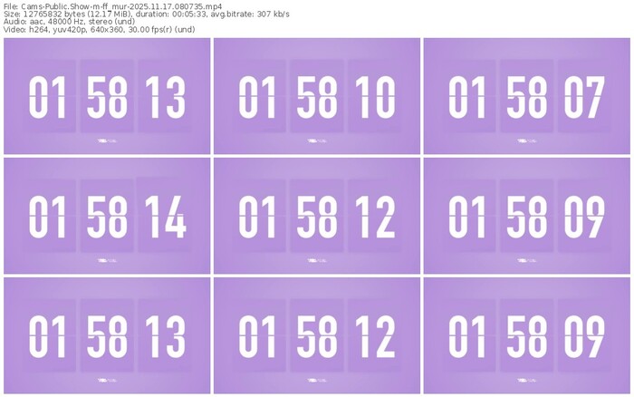 cams-ff_mur-11-17-2025-08-07-35