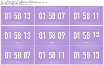 cams-ff_mur-11-17-2025-08-20-36