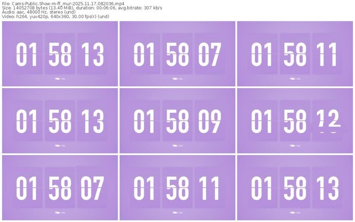 cams-ff_mur-11-17-2025-08-20-36