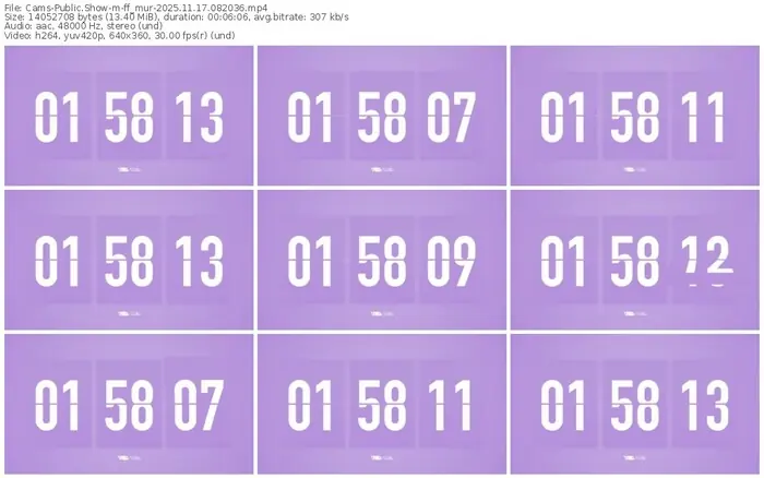 cams-ff_mur-11-17-2025-08-20-36