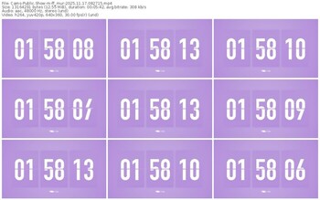 cams-ff_mur-11-17-2025-08-27-15