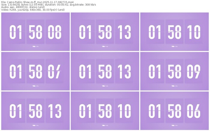 cams-ff_mur-11-17-2025-08-27-15