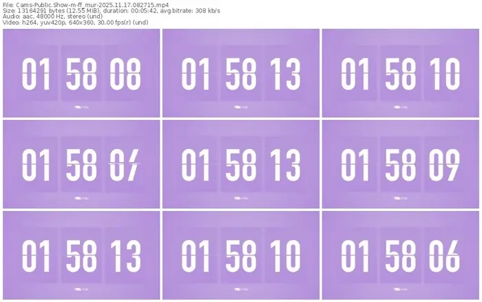 cams-ff_mur-11-17-2025-08-27-15