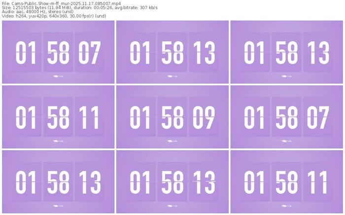 cams-ff_mur-11-17-2025-08-50-07