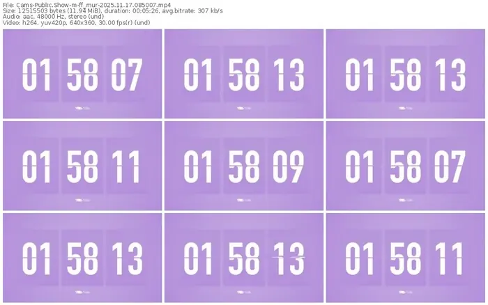 cams-ff_mur-11-17-2025-08-50-07