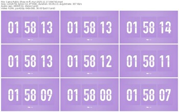 cams-ff_mur-11-17-2025-09-47-43