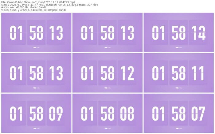 cams-ff_mur-11-17-2025-09-47-43