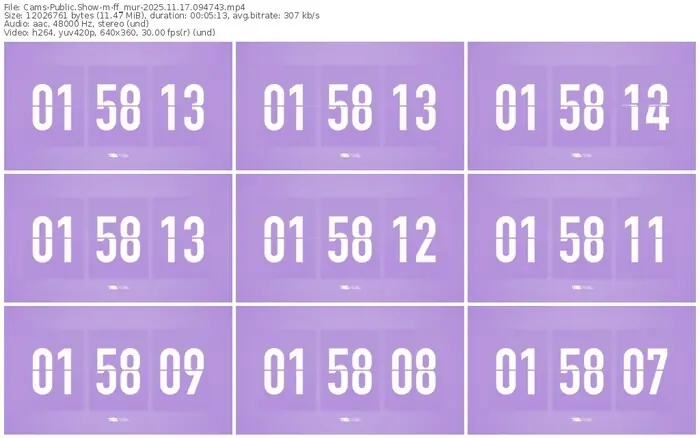 cams-ff_mur-11-17-2025-09-47-43