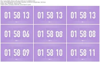 cams-ff_mur-11-17-2025-10-06-15