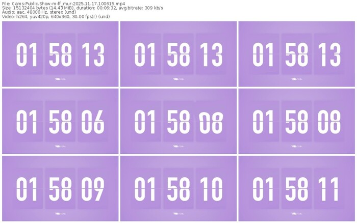 cams-ff_mur-11-17-2025-10-06-15