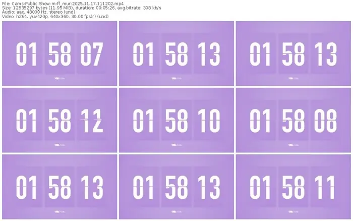 cams-ff_mur-11-17-2025-11-12-02