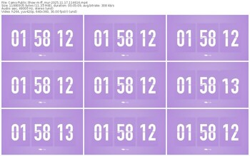 cams-ff_mur-11-17-2025-11-46-16