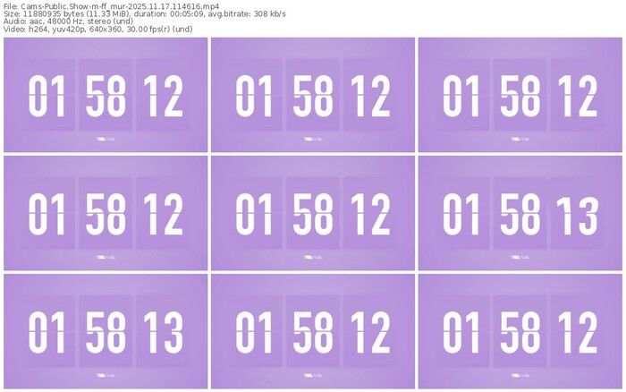 cams-ff_mur-11-17-2025-11-46-16