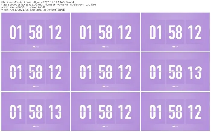 cams-ff_mur-11-17-2025-11-46-16