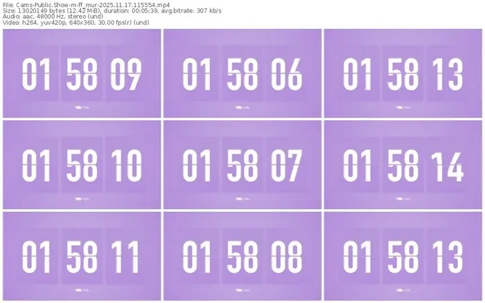 cams-ff_mur-11-17-2025-11-55-54