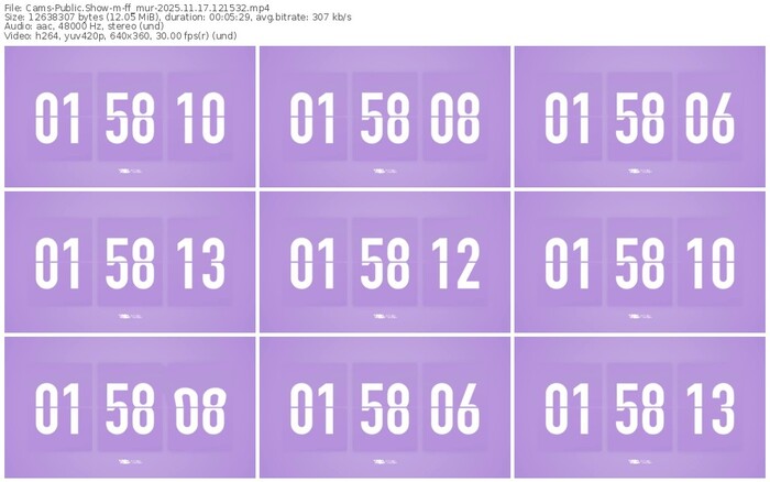 cams-ff_mur-11-17-2025-12-15-32