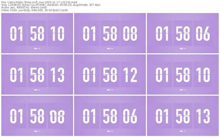 cams-ff_mur-11-17-2025-12-15-32