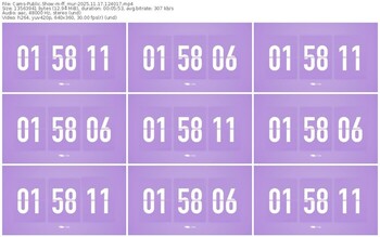 cams-ff_mur-11-17-2025-12-40-17