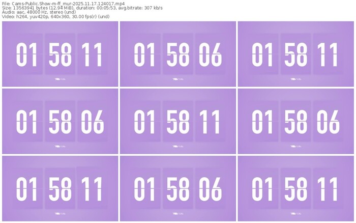 cams-ff_mur-11-17-2025-12-40-17