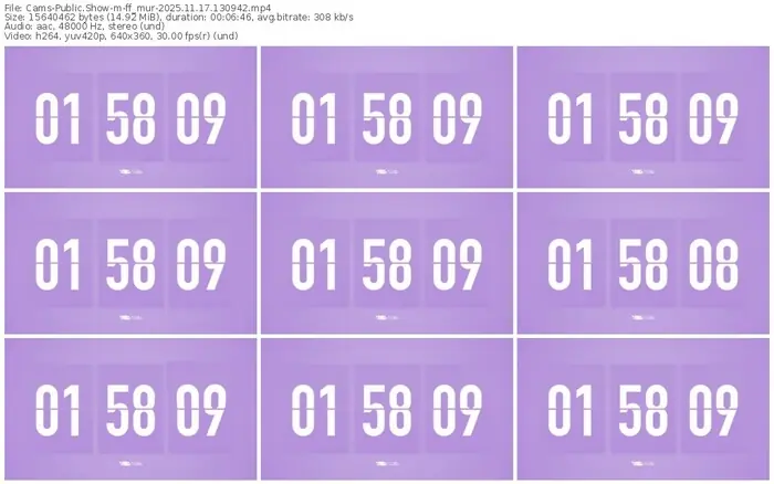 cams-ff_mur-11-17-2025-13-09-42