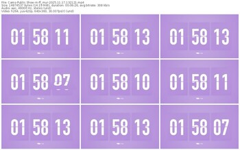 cams-ff_mur-11-17-2025-13-21-21