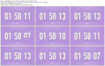 cams-ff_mur-11-17-2025-13-21-21