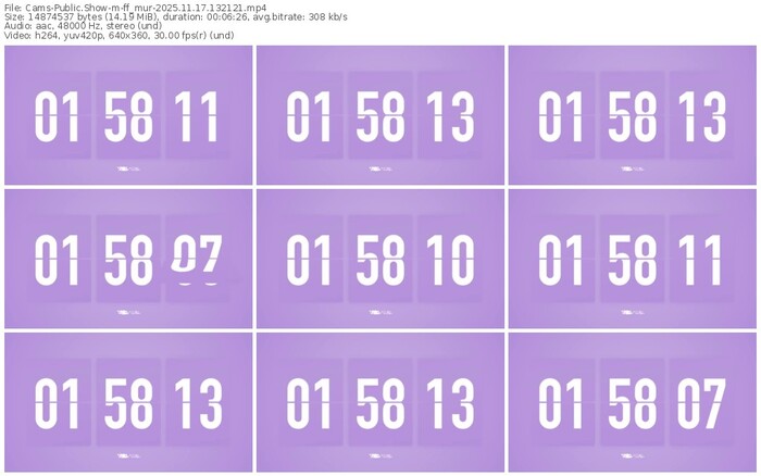 cams-ff_mur-11-17-2025-13-21-21