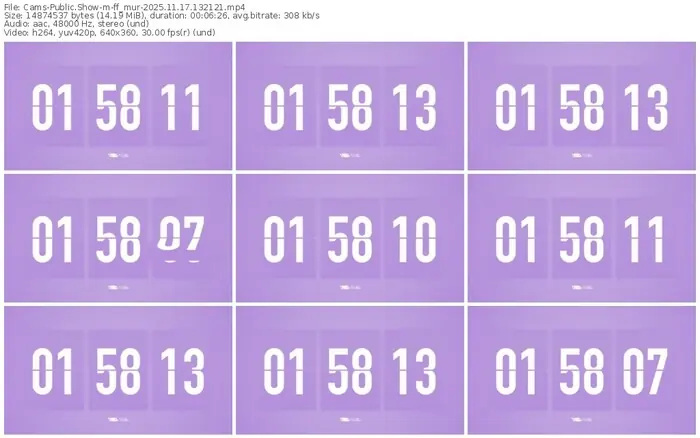 cams-ff_mur-11-17-2025-13-21-21