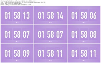 cams-ff_mur-11-17-2025-13-57-43