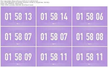 cams-ff_mur-11-17-2025-13-57-43