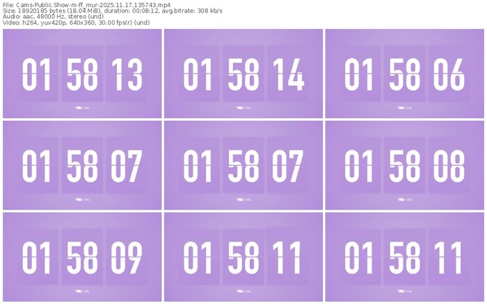 cams-ff_mur-11-17-2025-13-57-43