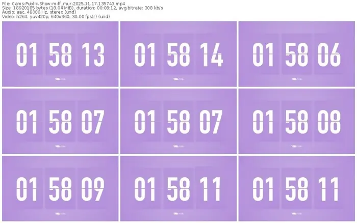 cams-ff_mur-11-17-2025-13-57-43