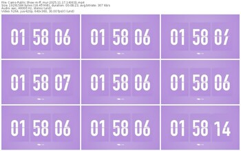 cams-ff_mur-11-17-2025-14-06-31