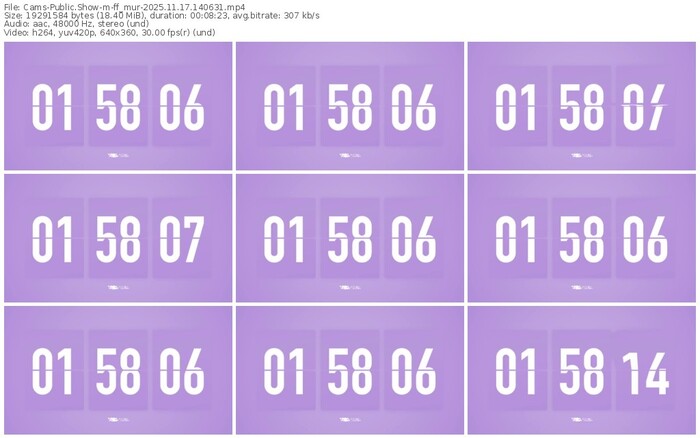 cams-ff_mur-11-17-2025-14-06-31