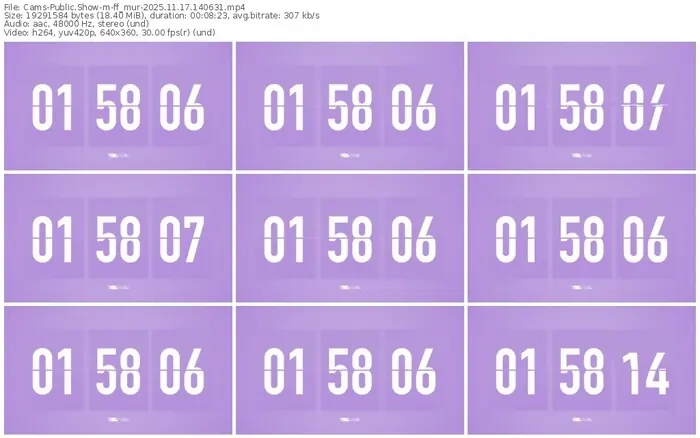 cams-ff_mur-11-17-2025-14-06-31