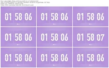 cams-ff_mur-11-17-2025-14-16-11