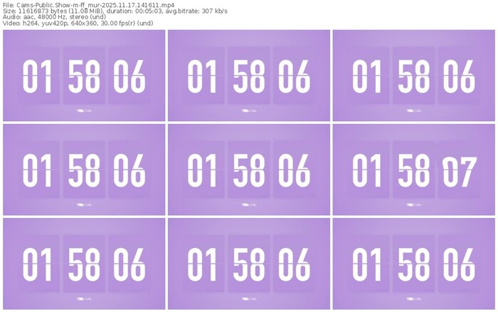 cams-ff_mur-11-17-2025-14-16-11