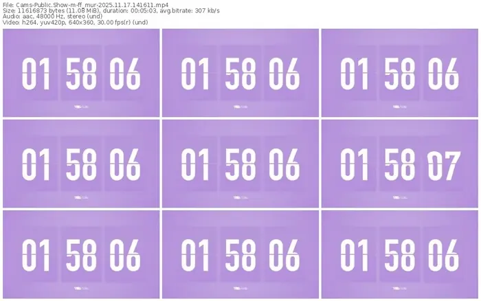 cams-ff_mur-11-17-2025-14-16-11